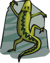 Lizard Clipart