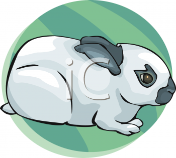 Rabbit Clipart