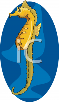 Seahorse Clipart