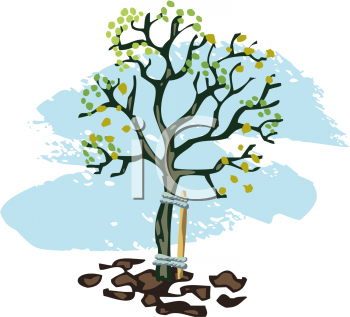 Thanksgiving Clipart