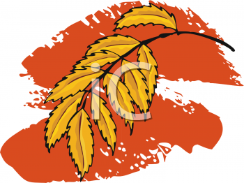 Thanksgiving Clipart