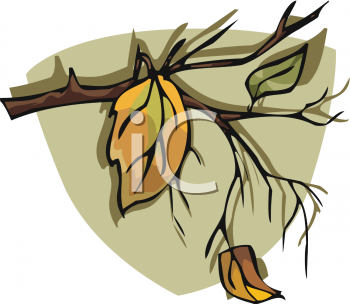 Thanksgiving Clipart
