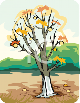 Thanksgiving Clipart
