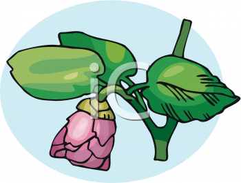 Wedding Clipart