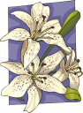 Wedding Clipart