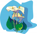 Wedding Clipart