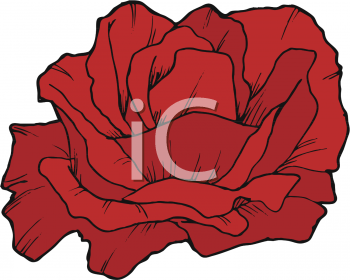 Wedding Clipart