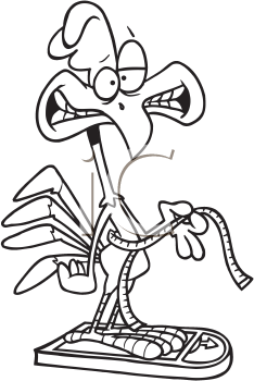 Rooster Clipart