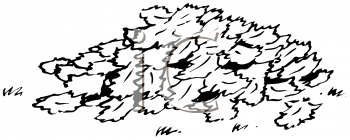 Thanksgiving Clipart