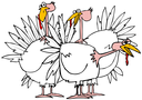 Thanksgiving Clipart