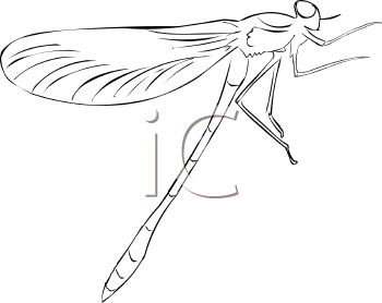 Dragonfly Clipart