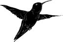 Hummingbird Clipart