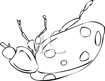 Ladybug Clipart