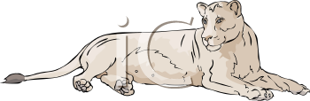 Lion Clipart