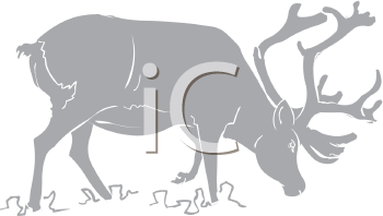 Reindeer Clipart