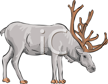 Reindeer Clipart