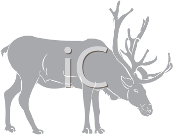 Reindeer Clipart