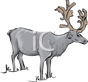 Reindeer Clipart