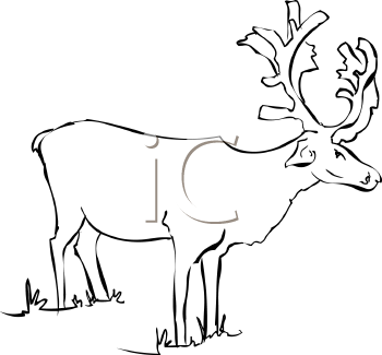 Reindeer Clipart