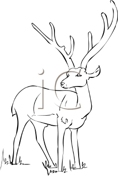 Reindeer Clipart