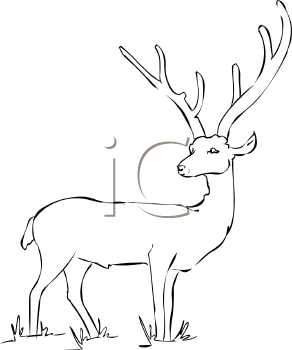 Reindeer Clipart