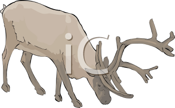 Reindeer Clipart