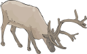 Reindeer Clipart
