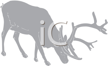 Reindeer Clipart