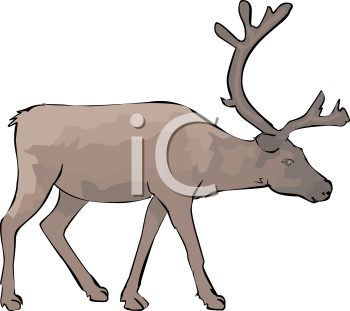 Reindeer Clipart