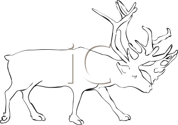 Reindeer Clipart