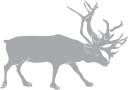 Reindeer Clipart