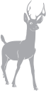 Reindeer Clipart
