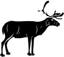 Reindeer Clipart