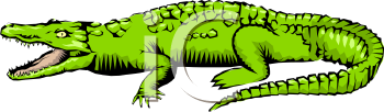 Lizard Clipart