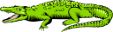 Lizard Clipart