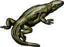 Lizard Clipart