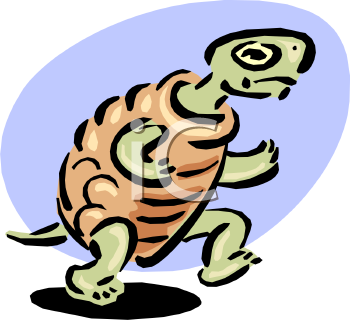 Lizard Clipart