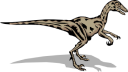Lizard Clipart