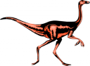 Lizard Clipart