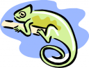 Lizard Clipart