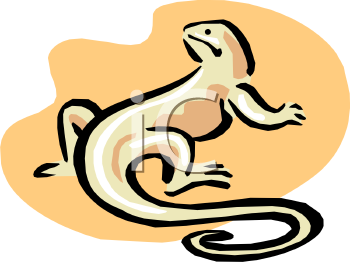 Iguana Clipart