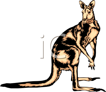 Marsupial Clipart