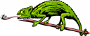 Lizard Clipart