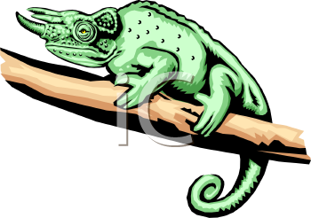 Lizard Clipart