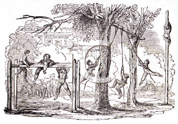 Gymnasium Clipart