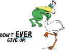 Bird Clipart
