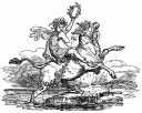 Cow Clipart