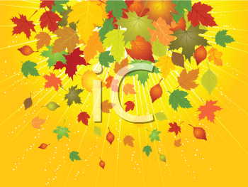 Thanksgiving Clipart