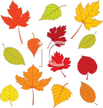 Thanksgiving Clipart