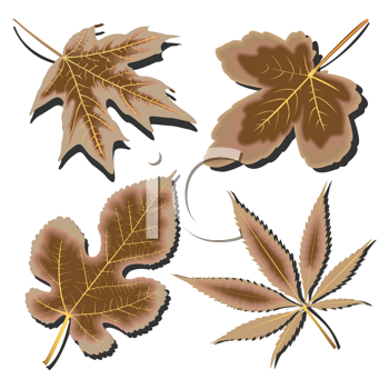 Thanksgiving Clipart
